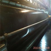 隧道防滲膜有哪些特點?